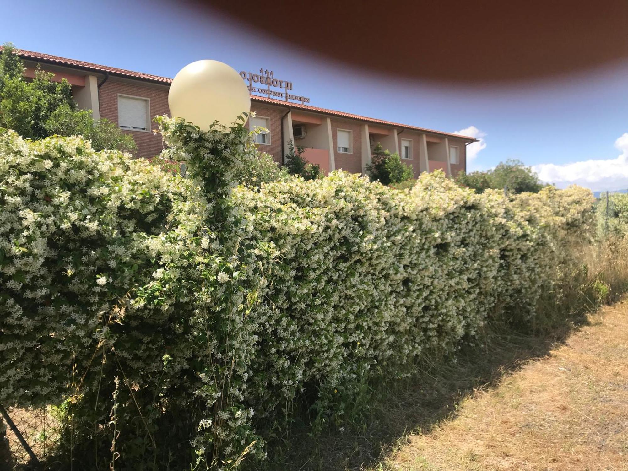 Residence Il Tombolo Principina a Mare Eksteriør billede